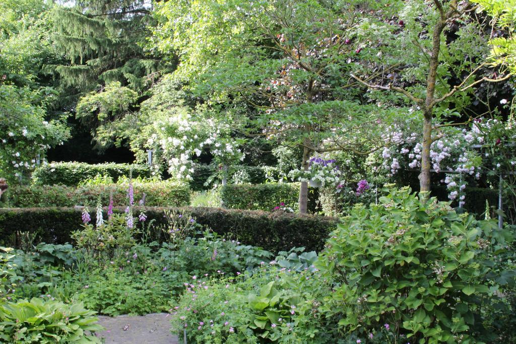 Annelies'Place To B& B Maastricht Ruang foto